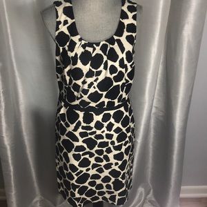 LOFT Giraffe Print Shift Dress - Size 8